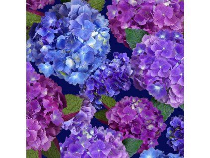 tisk - Hydrengea Blooms - 1649-29559