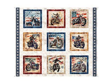 panel - STARS 31695-X