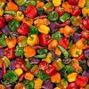 FQ - paprika 500072